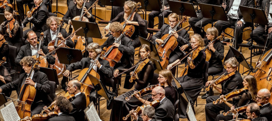 Eröffnet wird der MDR-Musiksommer durch das MDR-Sinfonieorchester. (Foto: MDR/Andreas Lander)