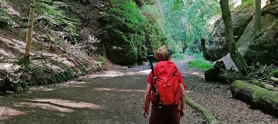 Der Osterspaziergang 2023 von MDR THÜRINGEN führt die Wanderfans unter den Radiohörerinnen und -hörern auch durch die Landgrafenschlucht bei Eisenach.