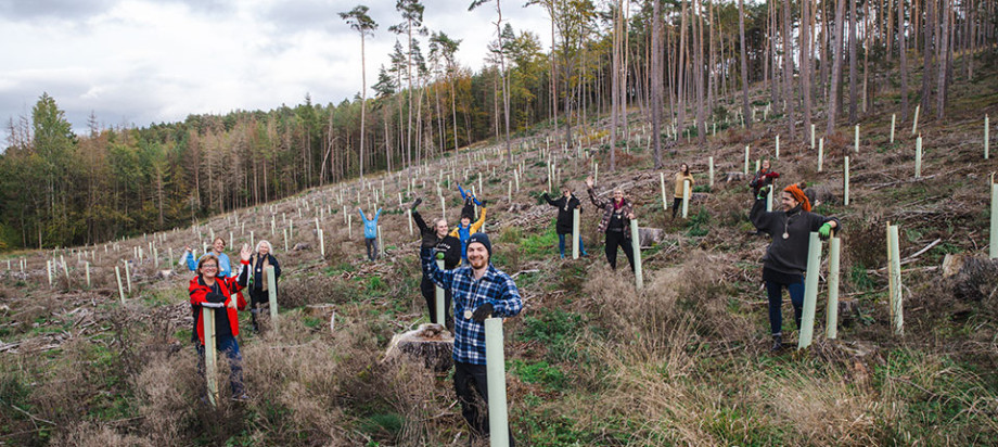 Nachhaltigkeit und Klimaschutz sind für die MDR Media Herzenssache. Gemeinsam mit dem Thüringen Forst ging sie im Oktober 2023 auf Waldretter-Mission.
