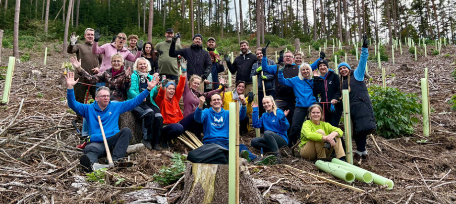 Die MDR Media GmbH nahm auch 2025 an der Wald-Retter-Woche teil.